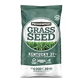 Pennington Kentucky 31 Tall Fescue Grass Seed 20 lb