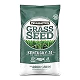 Pennington Kentucky 31 Tall Fescue Grass Seed 20 lb