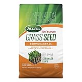 Scotts Turf Builder Grass Seed Bermudagrass with Fertilizer and Soil Improver, Drought-Tolerant, 8 lbs.