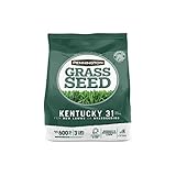 Pennington Kentucky 31 Tall Fescue Penkoted Grass Seed 3 lb, Green