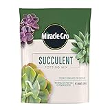 Miracle-Gro Succulent Potting Mix: Fertilized Soil with Premium Nutrition for Indoor Cactus Plants, Aloe Vera and More, 4 qt.