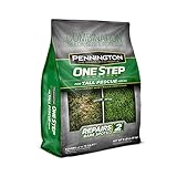 One Step Complete Tall Fescue 5lb. Grass Seed + Mulch + Fertilizer for Patch Repair