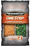 Pennington One Step Complete Bermudagrass Bare Spot Grass Seed, 5 Pounds, White