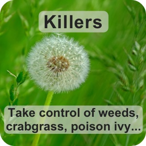 Killers Category